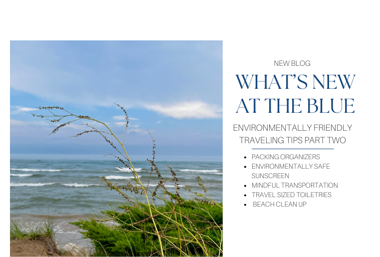 ENVIRONMENTAL TRAVEL TIPS PART 2 WHATS NEW AT THE BLUE BLOG