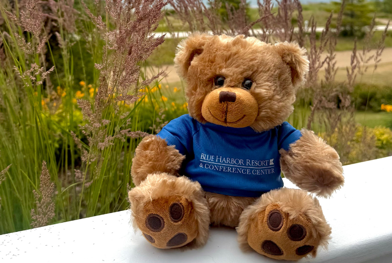 BLUE HARBOR BEAR PLUSHIE WEBSITE SPECIALS GRAPHIC