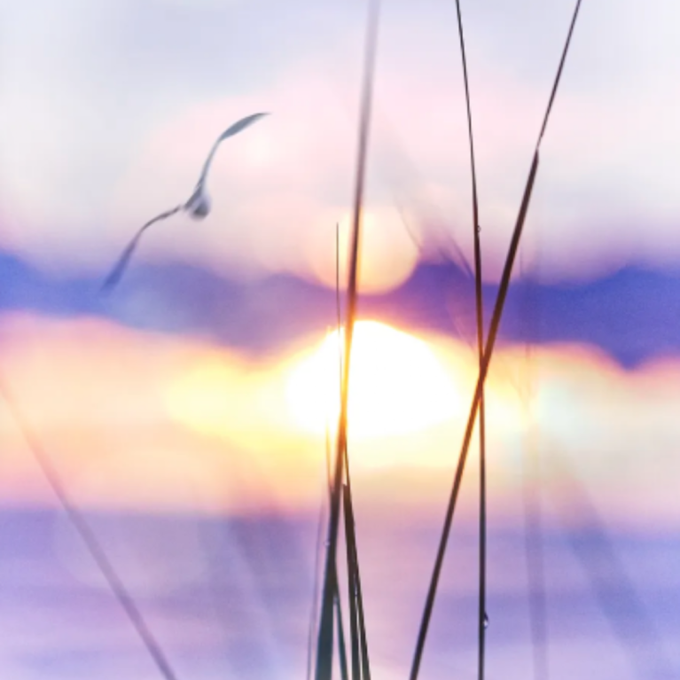 2026 4 IMPRESSIONS PHOTO GALLERY FOR WEBSITE