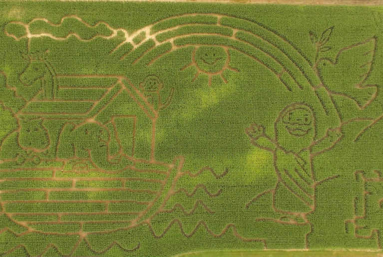 2024 CORN MAZE NOAHS ARK WEB GRAPHIC