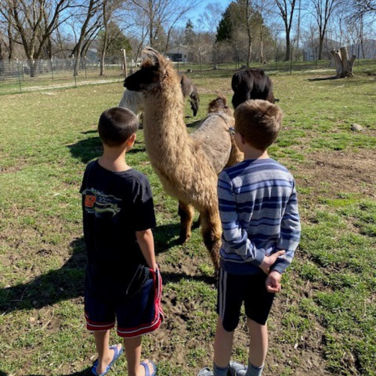 BLACK FROG FARM KIDS