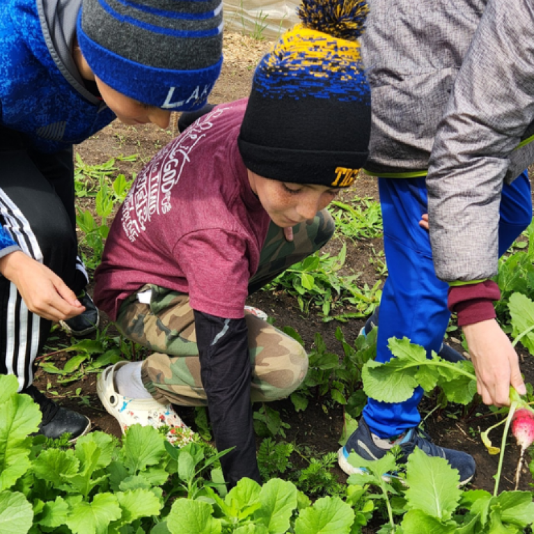 NOURISH FARMS HARVESTING WEB GALLERY