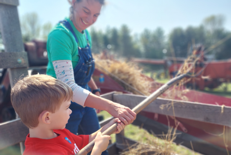 MID LAKES AGRICULTURAL FAIR WEBSITE GRAPHIC