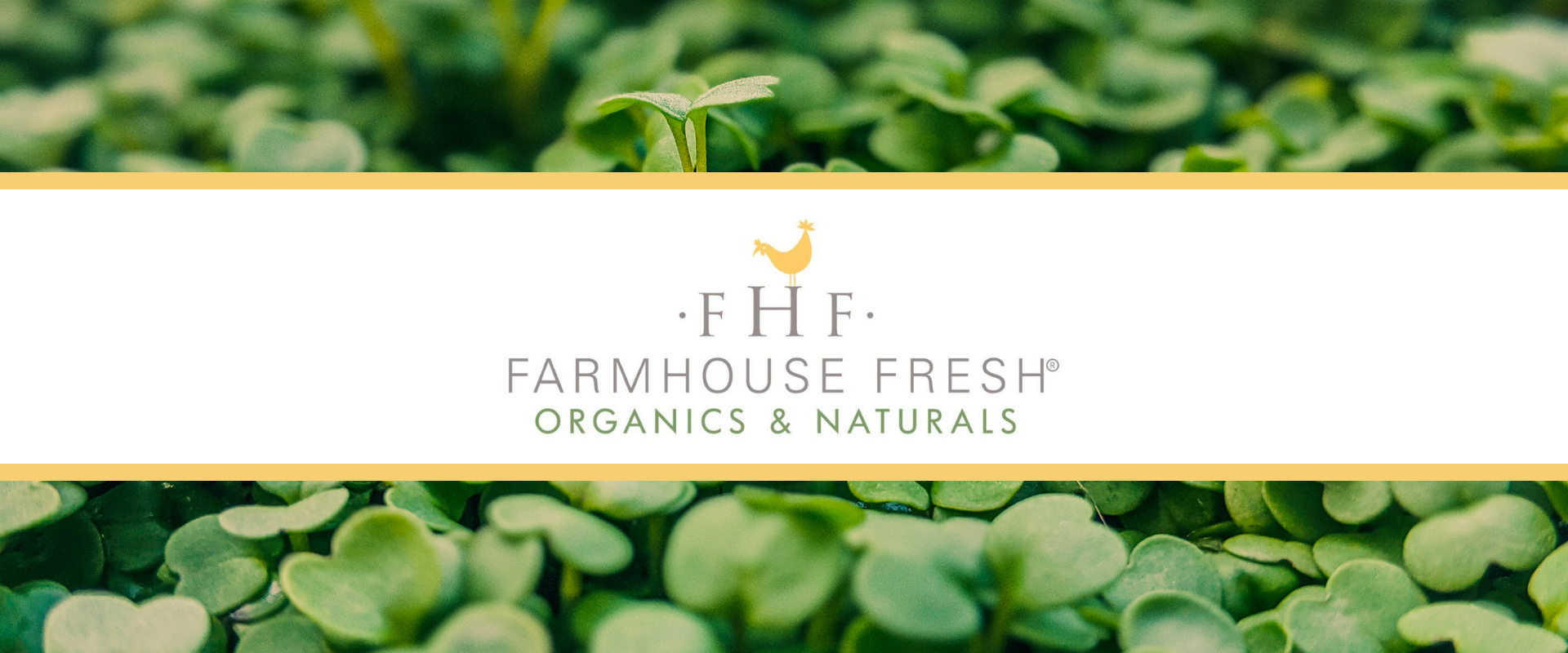 FARMHOUSE FRESH WEBSITE HEADER