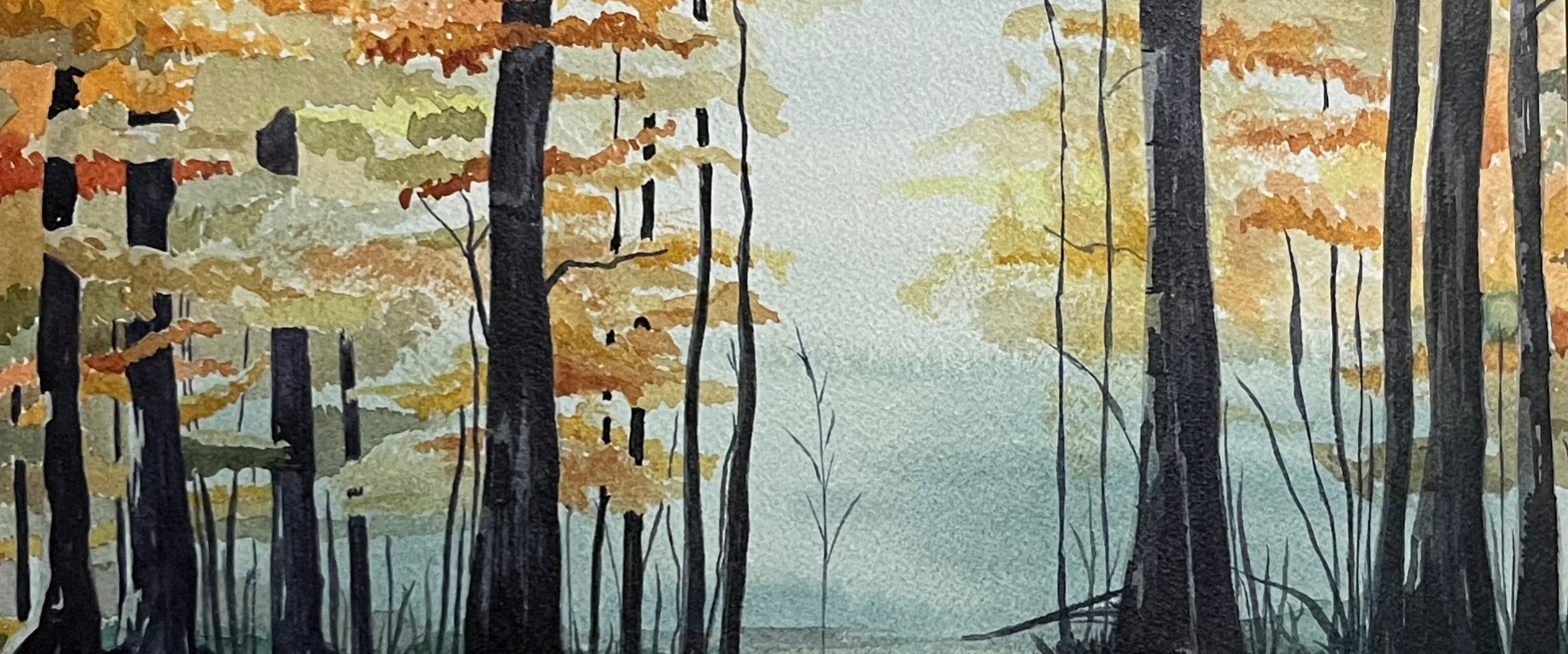 SHEBOYGAN VISUAL ARTISTS FALL WEBSITE HEADER